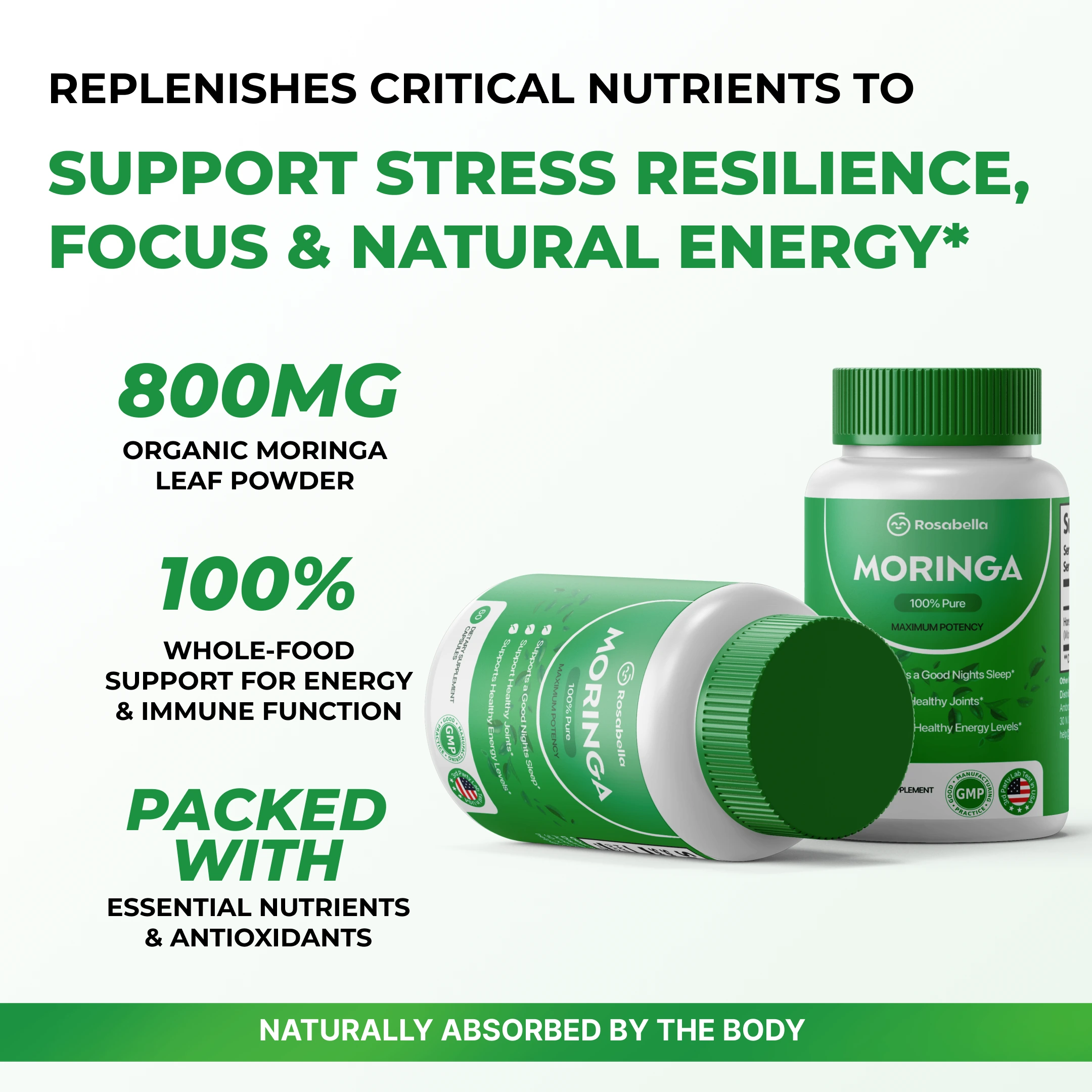 Rosabella Moringa Powder Capsule