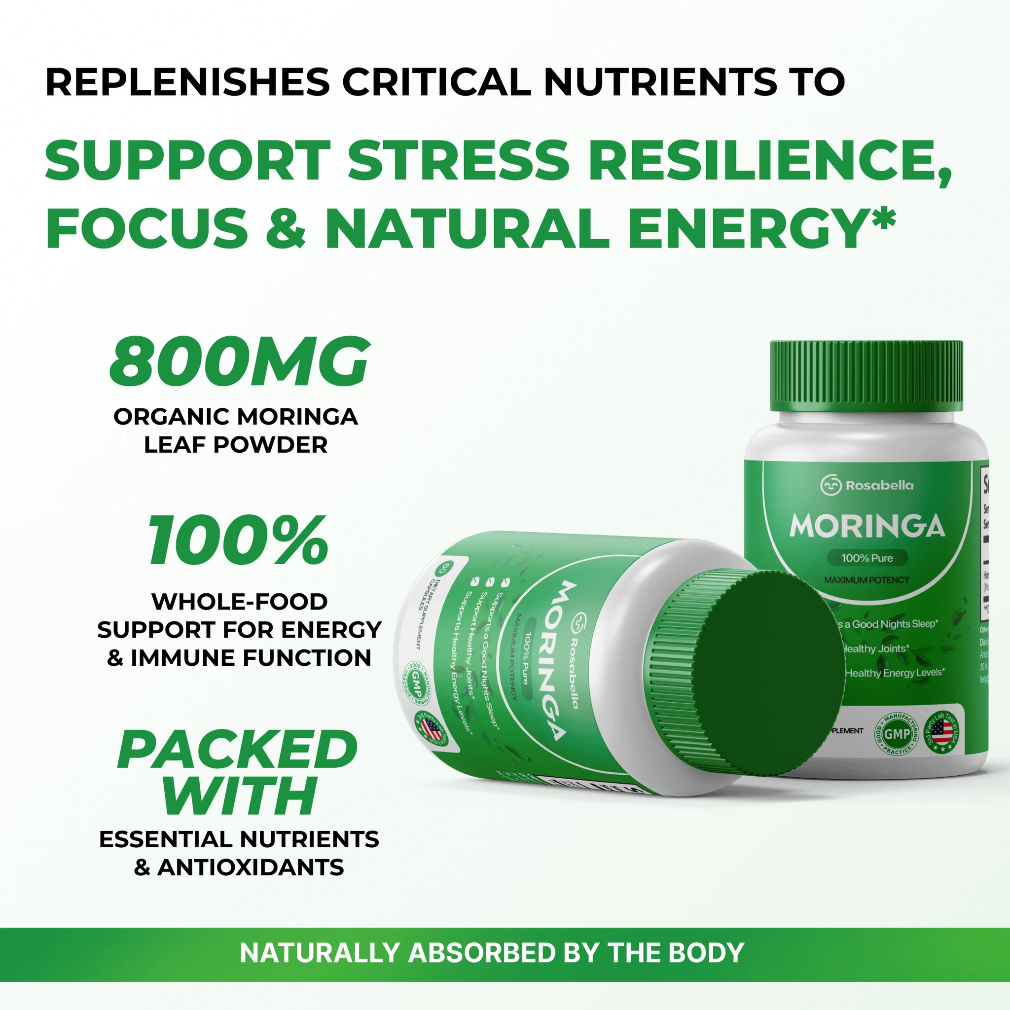 Rosabella Moringa Powder Capsule
